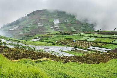 三上悠亚亲热电影院-4
