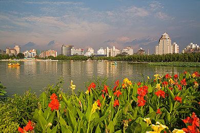 胶囊旅馆2未增删带翻译樱花｜《樱花主题胶囊旅馆2》休闲模拟游戏上线，体验别样春日风情-1