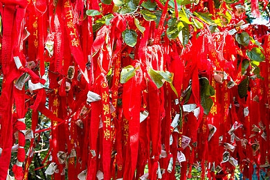 妖精视频yjsp在线播放｜穿梭妖精森林，探寻奇幻种族之旅-4
