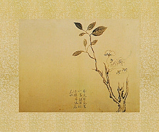 juliaann大战欧美大战,成人娱乐界惊天巨变 资深女星与欧美市场生死对决-2