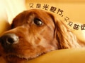 被C过的最爽的一次知乎,知乎用户分享被点赞最多的回答 引发社区热议和知识分享热潮-4