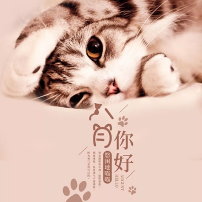 一品王妃苏云禾短剧免费观看｜古装传奇再现，智慧与勇气并存——揭秘《一品王妃苏云禾》短剧精彩瞬间