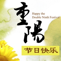 荷兰大迪克与娇小｜荷兰传说新篇章：大迪克与娇小的智慧传奇之旅-2