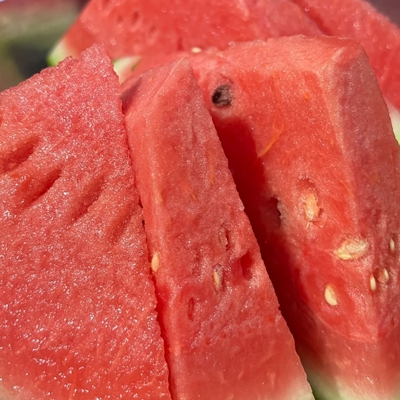 马红俊的浮神传承柳二龙｜浮神崛起：柳二龙传奇，武林新篇章-1