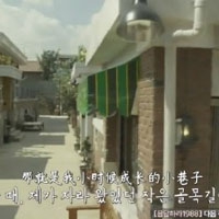 404款禁止的软件,黑客的禁忌挑战 深入数字迷宫解锁被封锁的秘密-4